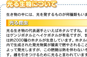 鐶ɂ