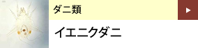 ダニ類：イエニクダニ