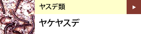 ヤスデ類：ヤケヤスデ