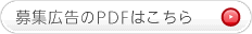 WLPDF͂